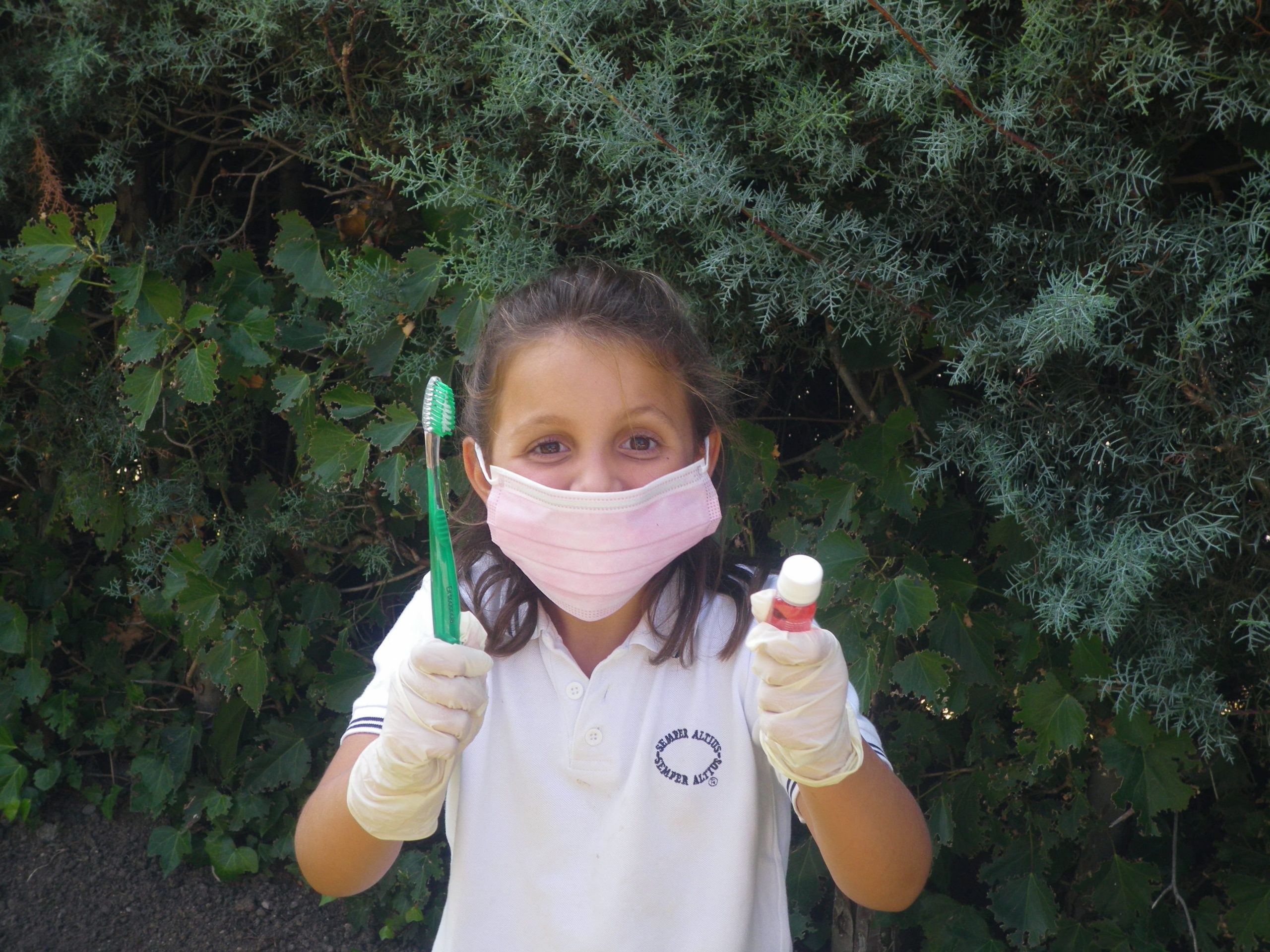 Una de las principales enfermedades orales infantiles es la caries dental. Se recomienda mantener buenos hábitos orales.